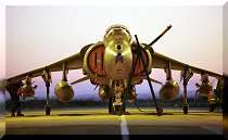 Harrier